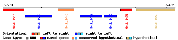 gene map