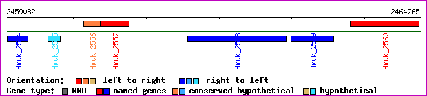 gene map
