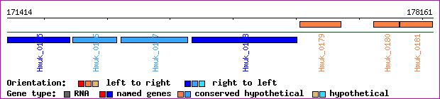 gene map
