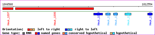 gene map