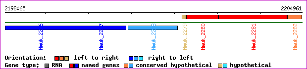 gene map