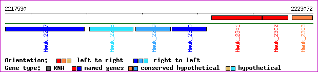 gene map