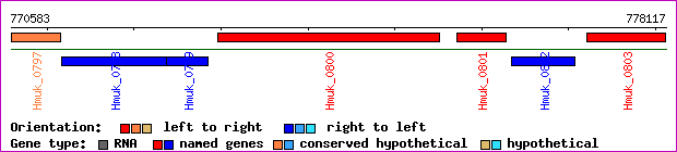 gene map