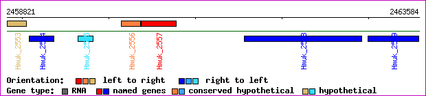 gene map