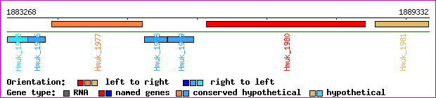 gene map