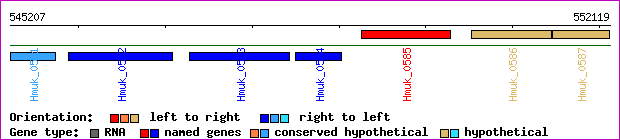 gene map