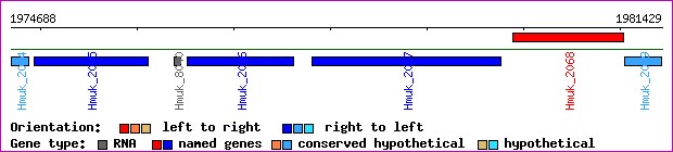gene map