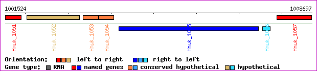 gene map