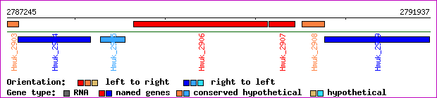 gene map
