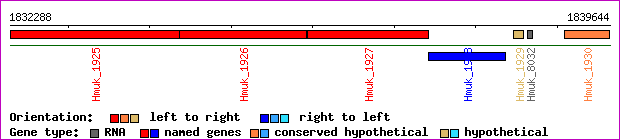gene map