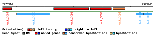 gene map