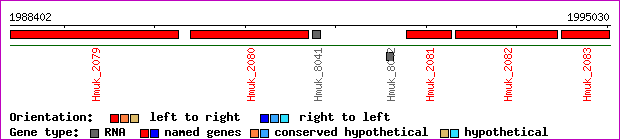 gene map