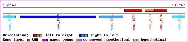 gene map