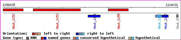 gene map