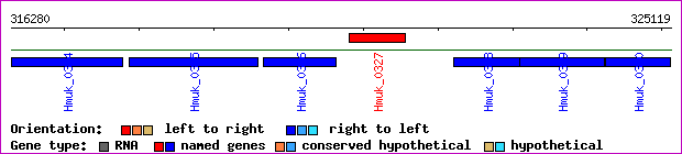 gene map