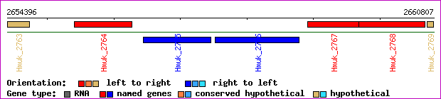 gene map
