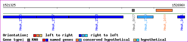 gene map