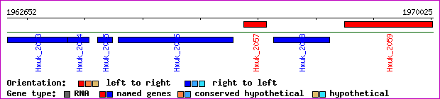 gene map