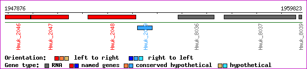 gene map