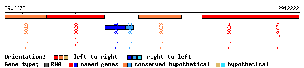gene map