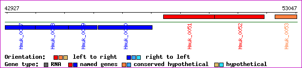 gene map