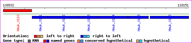 gene map