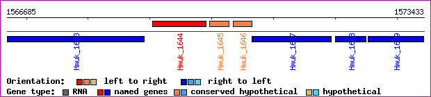 gene map