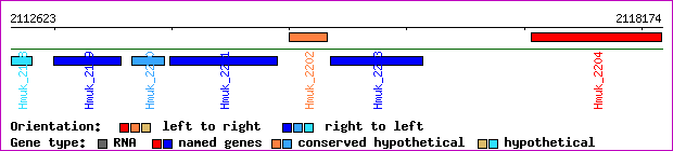 gene map