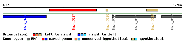 gene map