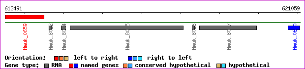 gene map