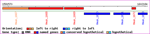 gene map