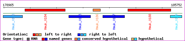 gene map