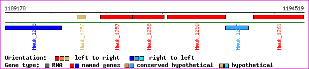 gene map