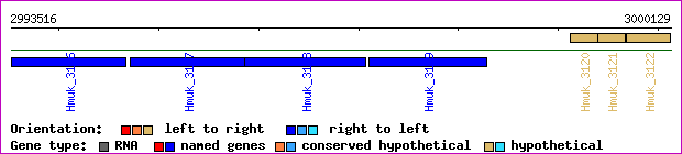 gene map