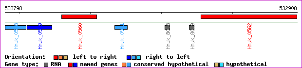 gene map