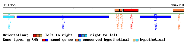 gene map