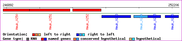 gene map