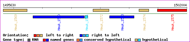 gene map
