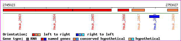 gene map