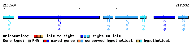 gene map