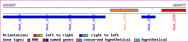gene map