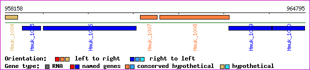 gene map