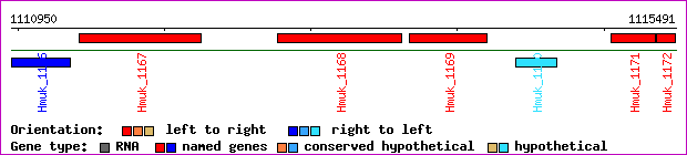 gene map