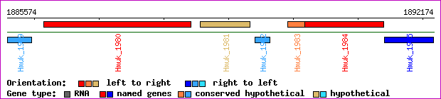gene map