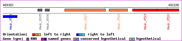 gene map