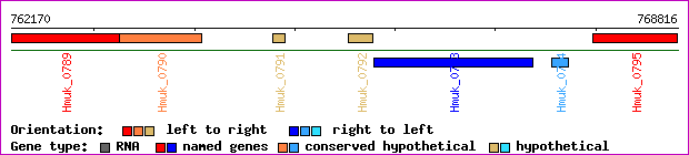 gene map