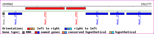 gene map