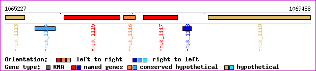 gene map