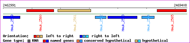 gene map