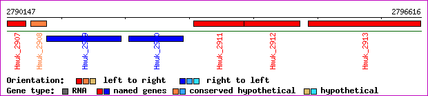 gene map